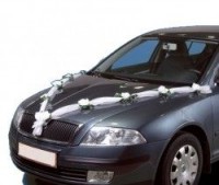 Šerpa na auto bílá